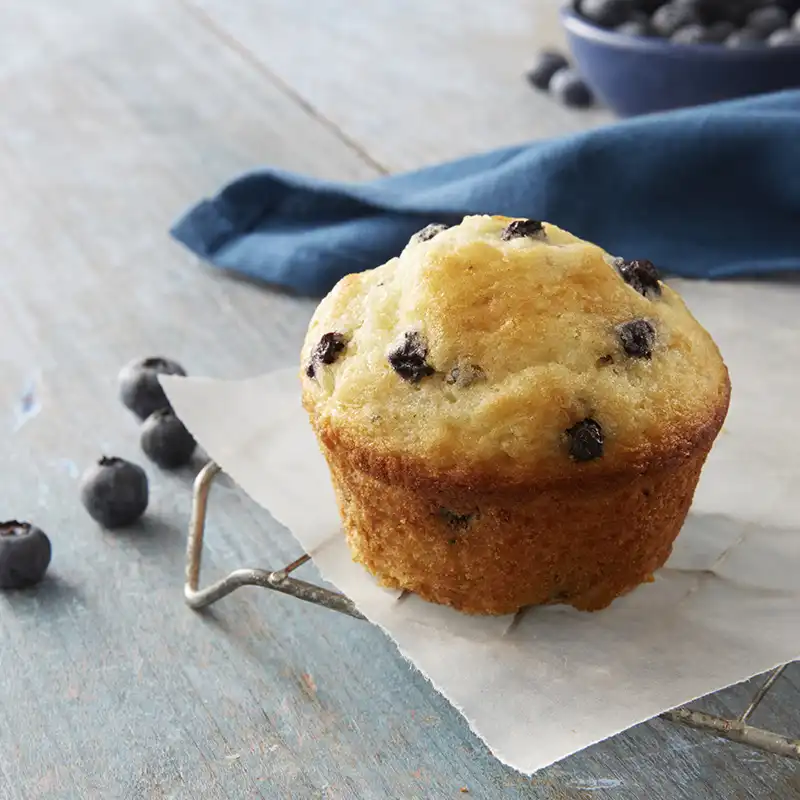 Blueberry muffin